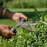 Barosta Hoveniers | Tuinonderhoud